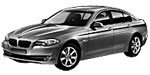 BMW F10 P1237 Fault Code